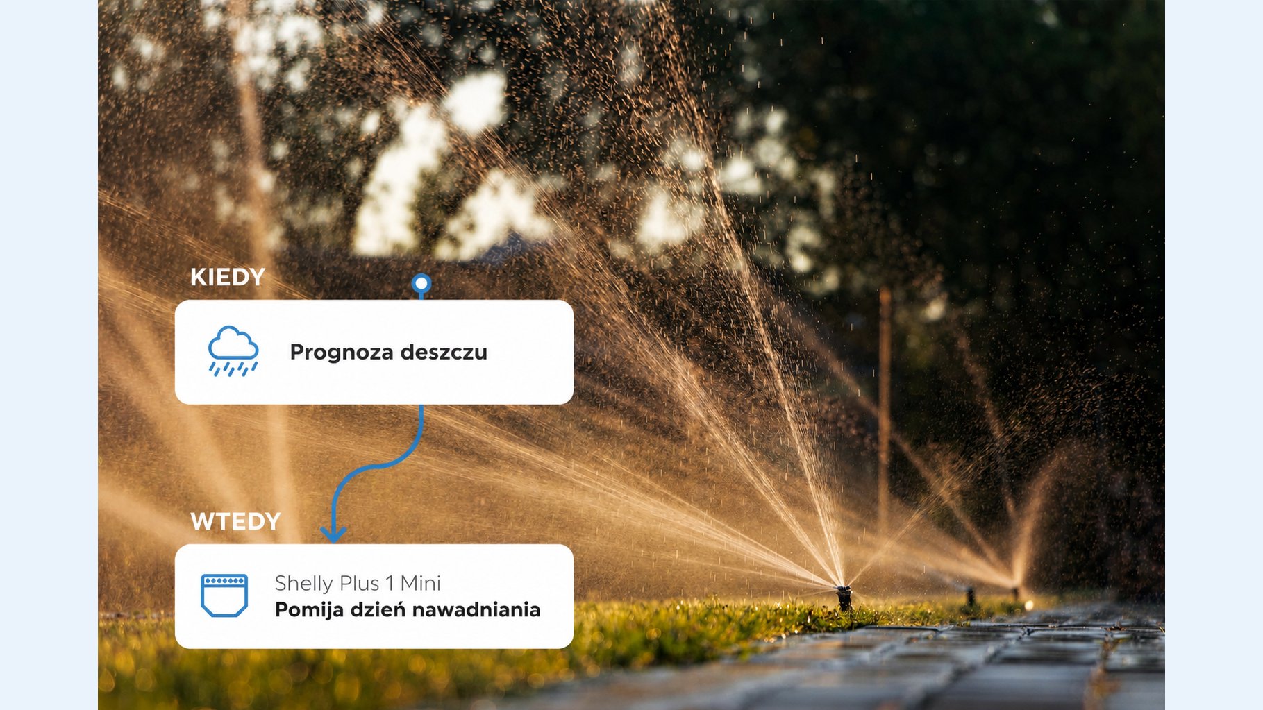 Inteligentny ogród podczas suszy: podlewanie tylko wtedy, gdy ma sens